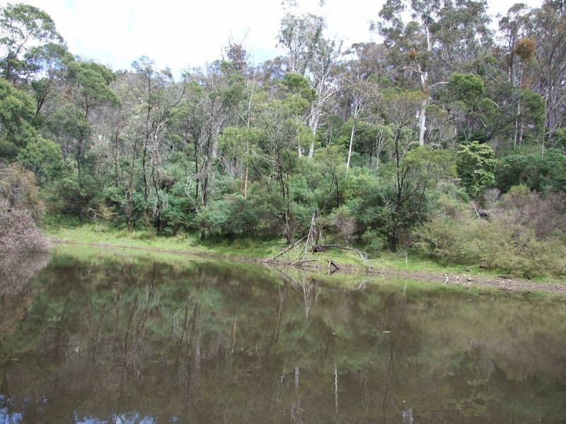 ‘Rosebank’ New Buildings Road, Wyndham NSW 2550
