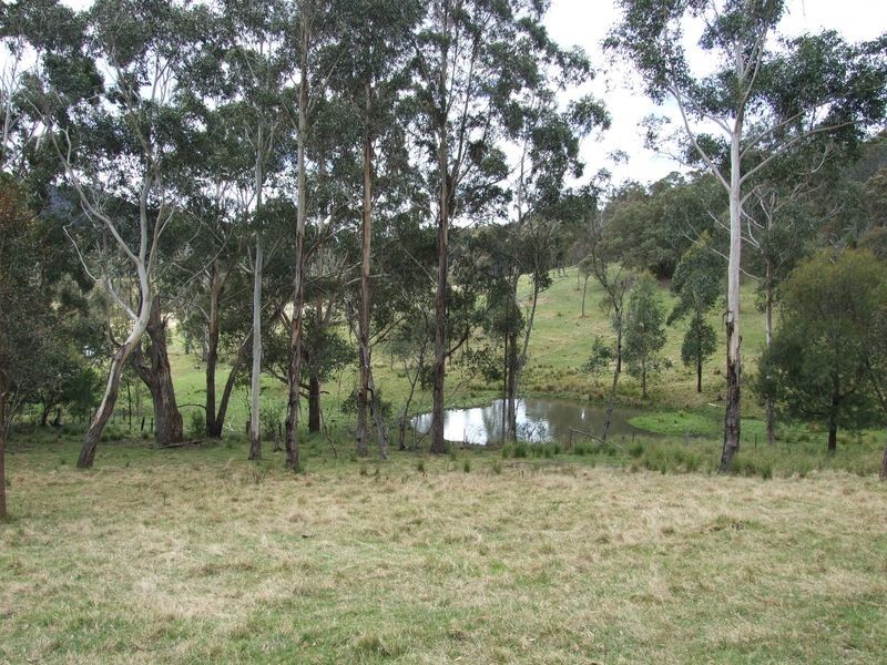‘Rosebank’ New Buildings Road, Wyndham NSW 2550