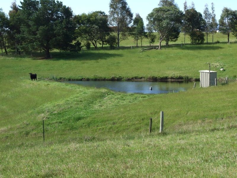 182 Coolagolite Road, Cobargo NSW 2550