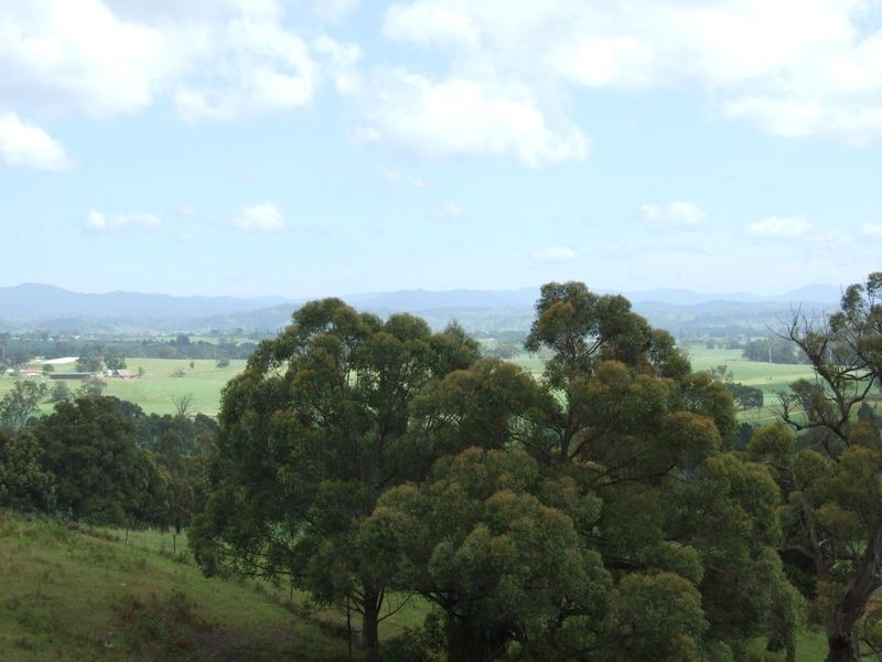 40A Darcy Lane, Jellat Jellat NSW 2550