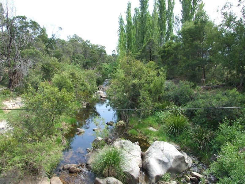 658 Pollacks Flat Road, Bemboka NSW 2550