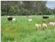 ‘The Point 27 Whittles Road, Wapengo NSW 2550