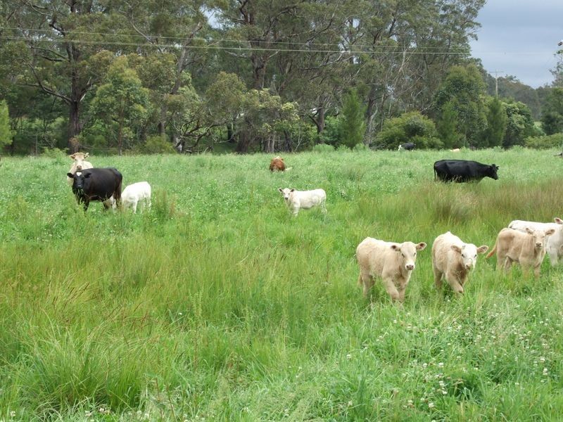 ‘The Point 27 Whittles Road, Wapengo NSW 2550