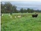 ‘The Point 27 Whittles Road, Wapengo NSW 2550