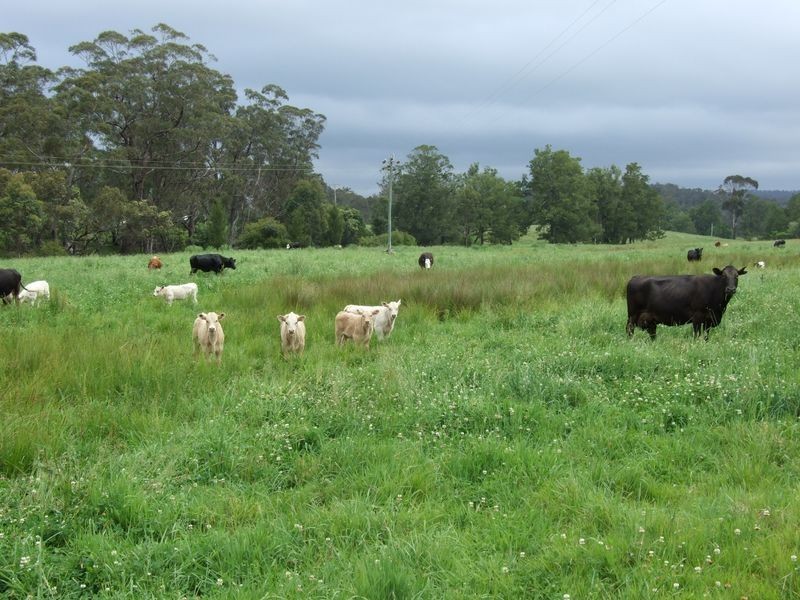 ‘The Point 27 Whittles Road, Wapengo NSW 2550