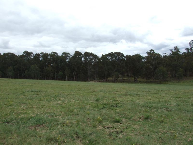 Lot 11 Slaters Lane, Candelo NSW 2550