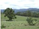 Lot 11 Slaters Lane, Candelo NSW 2550