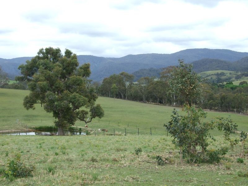 Lot 11 Slaters Lane, Candelo NSW 2550