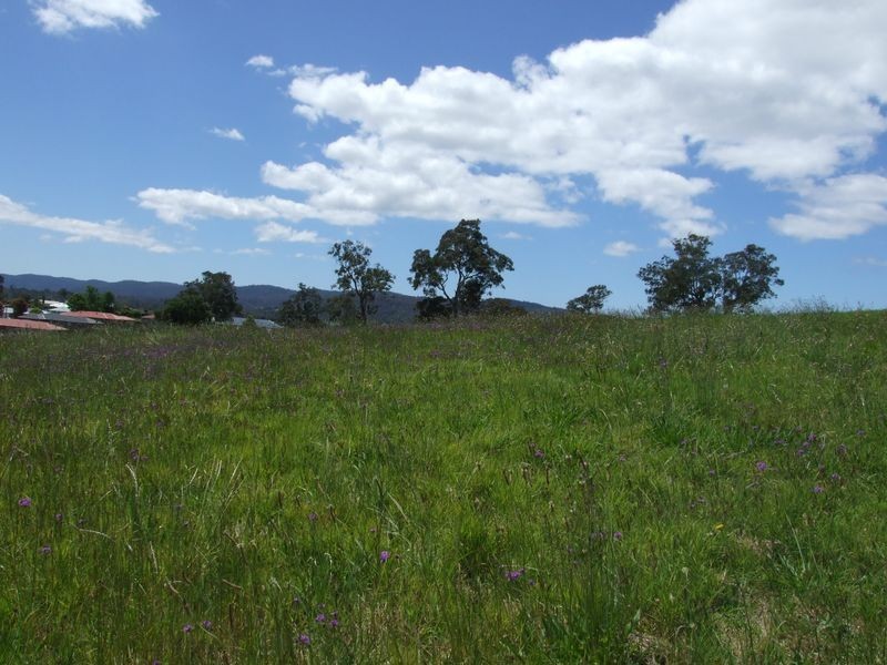 Lot 401 Bridle Place, Bega NSW 2550
