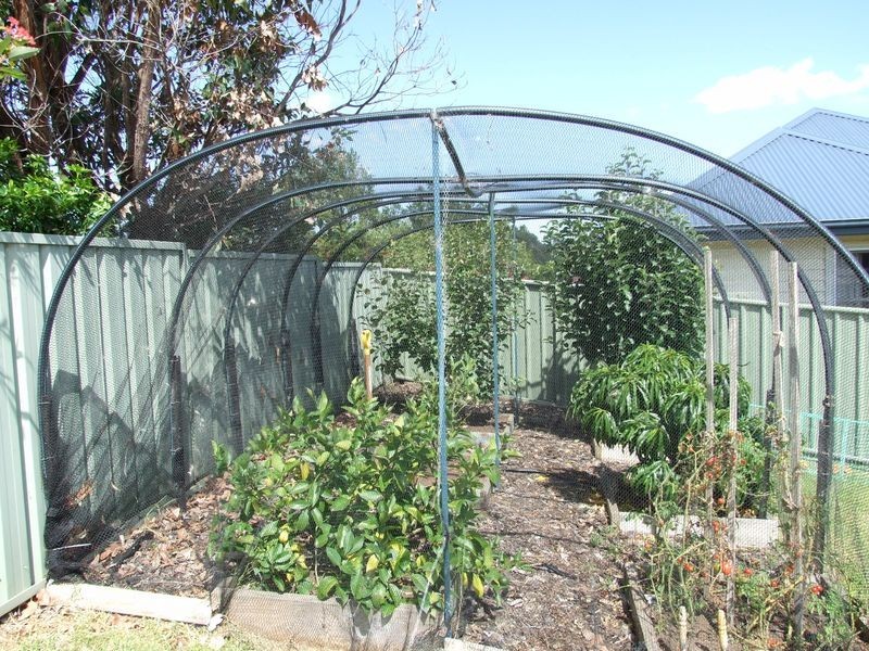 20 Thawa Close, Bega NSW 2550