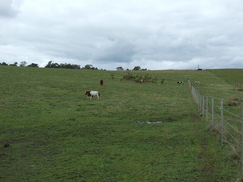 lot 11 Slaters Lane, Candelo NSW 2550