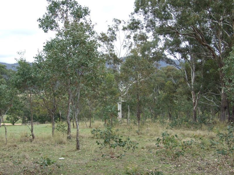 lot 11 Slaters Lane, Candelo NSW 2550
