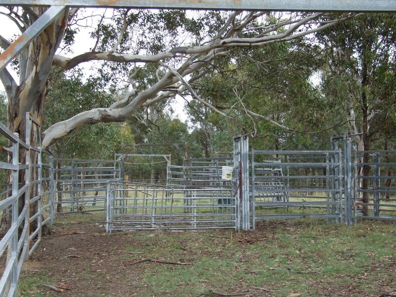 lot 11 Slaters Lane, Candelo NSW 2550