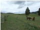 lot 11 Slaters Lane, Candelo NSW 2550