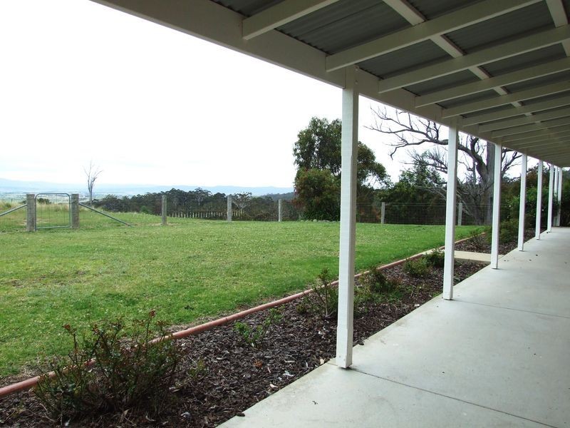 133 Radium Ridge Road, Candelo NSW 2550