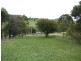 133 Radium Ridge Road, Candelo NSW 2550