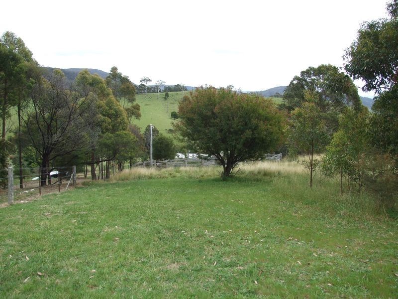 133 Radium Ridge Road, Candelo NSW 2550