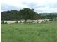 Lot 29 Max Slater Drive, Bega NSW 2550