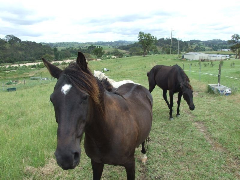 Lot 29 Max Slater Drive, Bega NSW 2550