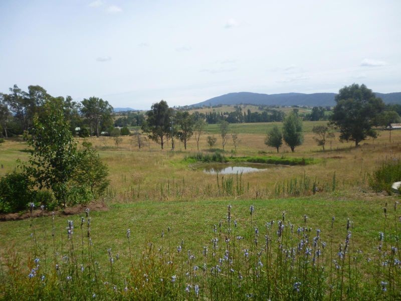 1362 Tarraganda Lane, Tarraganda NSW 2550