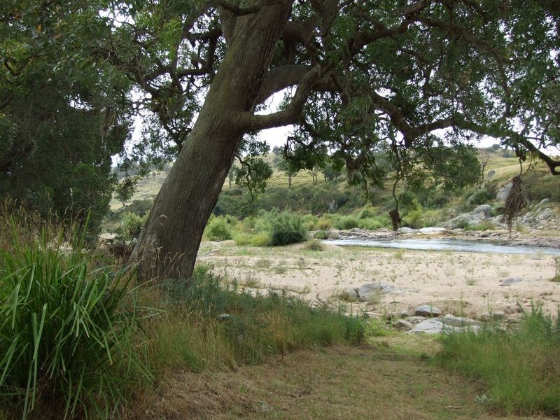 376 Candelo Bega Road, Bega NSW 2550