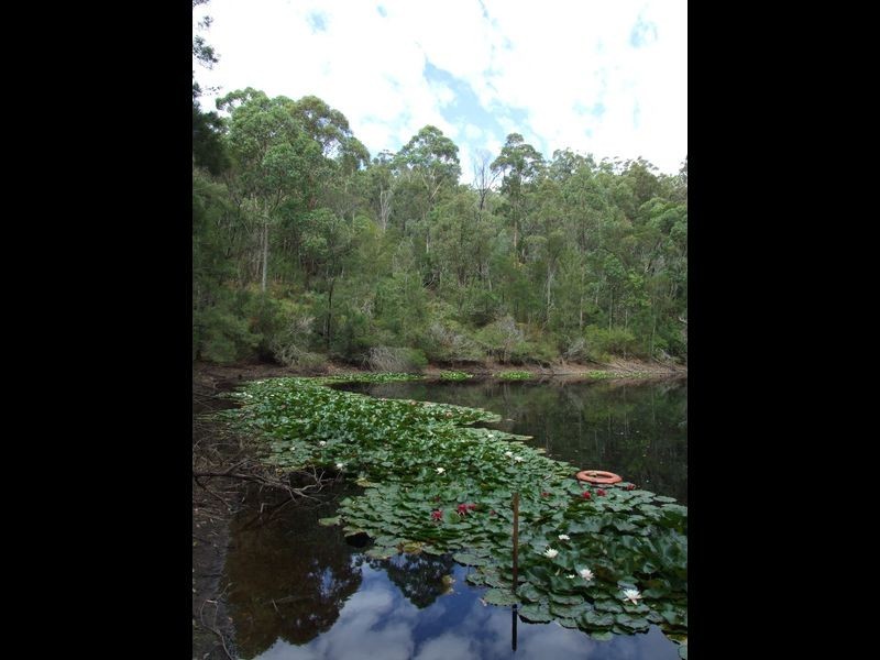 165 Dignams Creek Road, Akolele NSW 2546