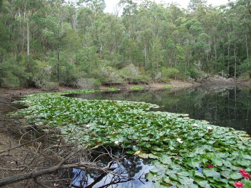 165 Dignams Creek Road, Akolele NSW 2546