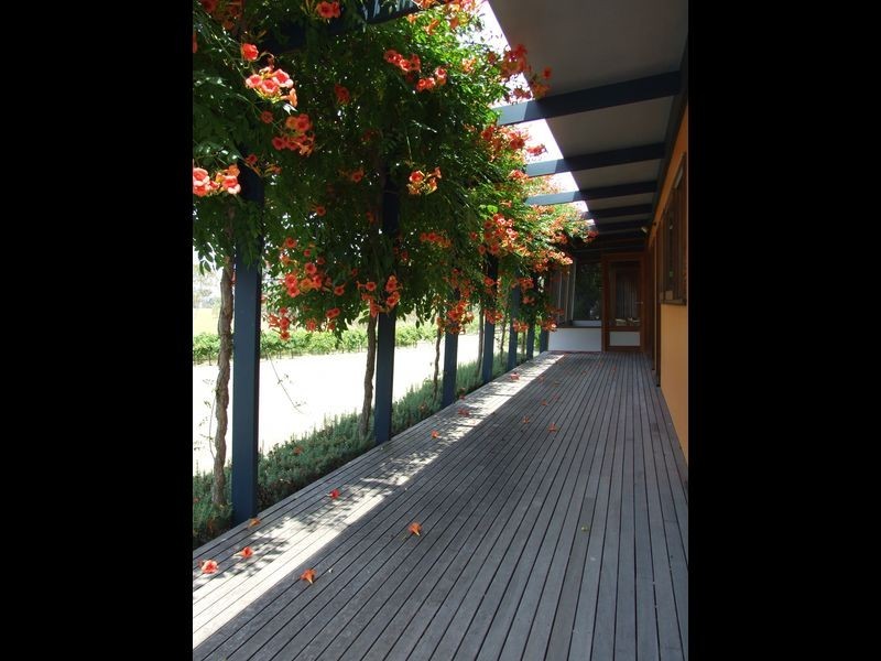 461 Wyndam Lane, Angledale NSW 2550