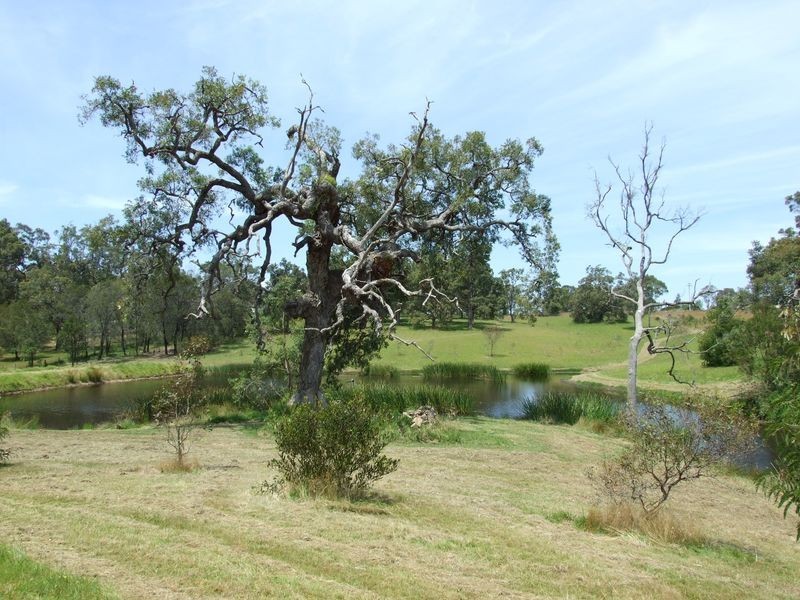 461 Wyndam Lane, Angledale NSW 2550