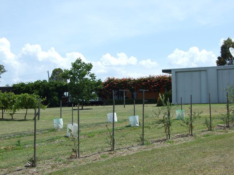 461 Wyndam Lane, Angledale NSW 2550