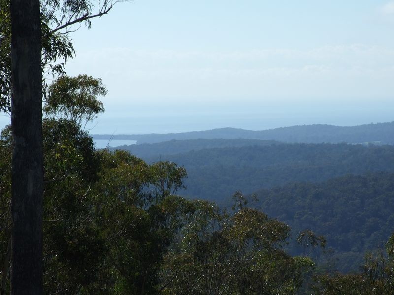 425 Blackrange Road, Bega NSW 2550