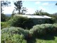 425 Blackrange Road, Bega NSW 2550