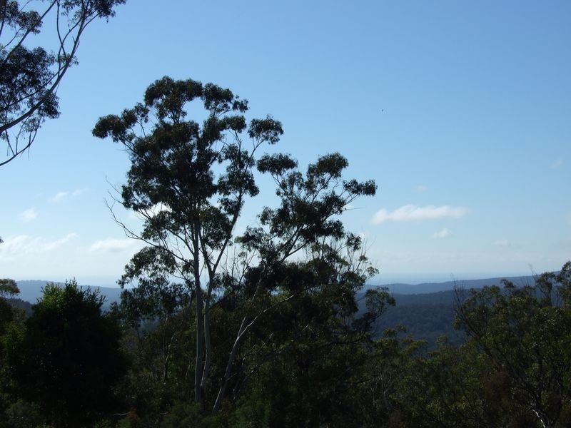 425 Blackrange Road, Bega NSW 2550