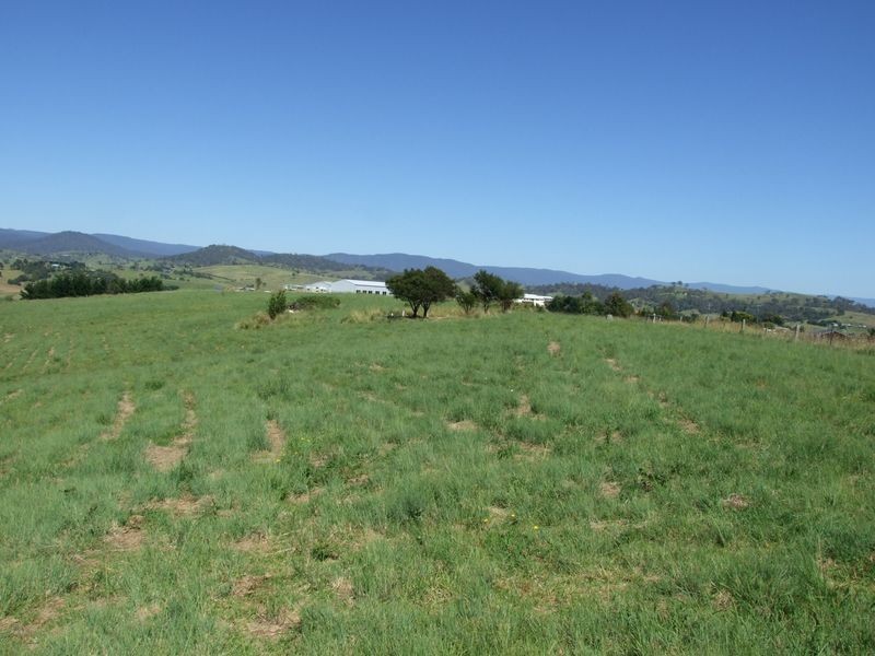 Lot 21 Candelo-Wolumla Road, Candelo NSW 2550
