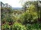 169 Blackrange Road, Bega NSW 2550