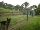 169 Blackrange Road, Bega NSW 2550