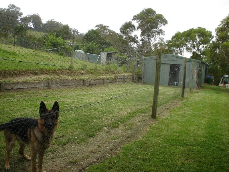 169 Blackrange Road, Bega NSW 2550