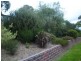 169 Blackrange Road, Bega NSW 2550