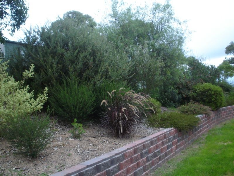 169 Blackrange Road, Bega NSW 2550