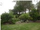 169 Blackrange Road, Bega NSW 2550