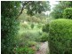 169 Blackrange Road, Bega NSW 2550