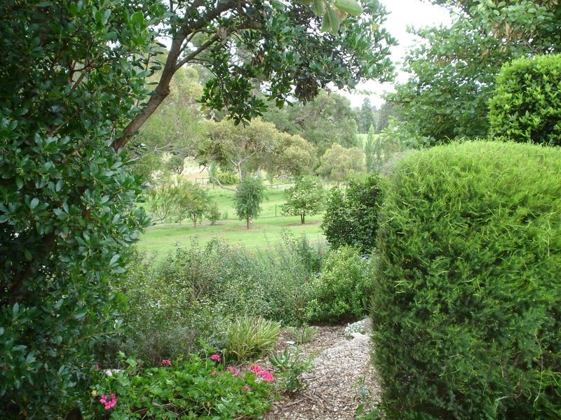 169 Blackrange Road, Bega NSW 2550