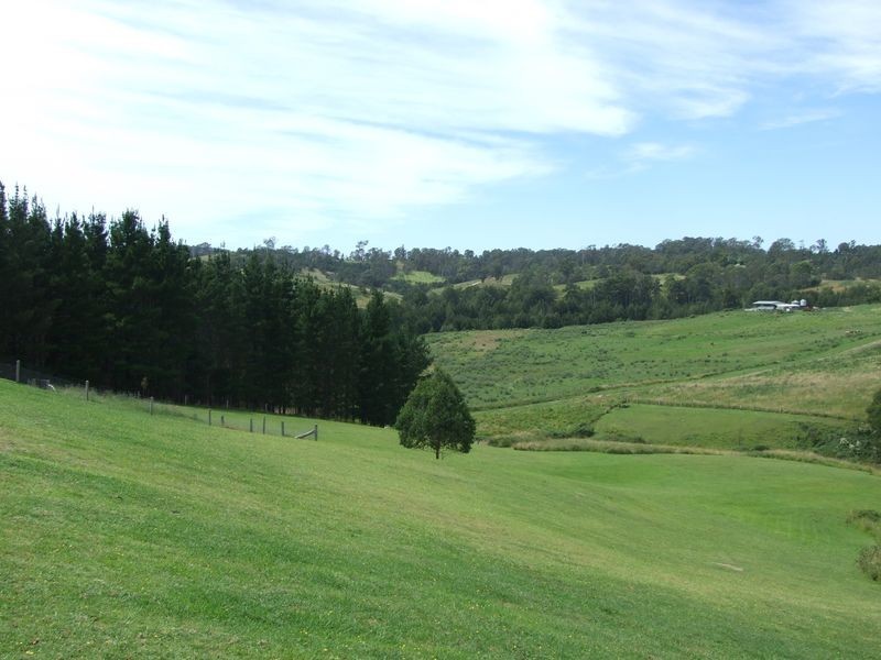 172 Motbey Ferguson Road, Cobargo NSW 2550