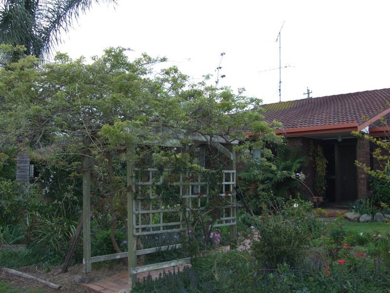 918 Polacks Flat Road, Bemboka NSW 2550