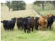 Lot 413 Upper Brogo Road, Quaama NSW 2550