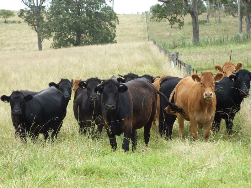Lot 413 Upper Brogo Road, Quaama NSW 2550