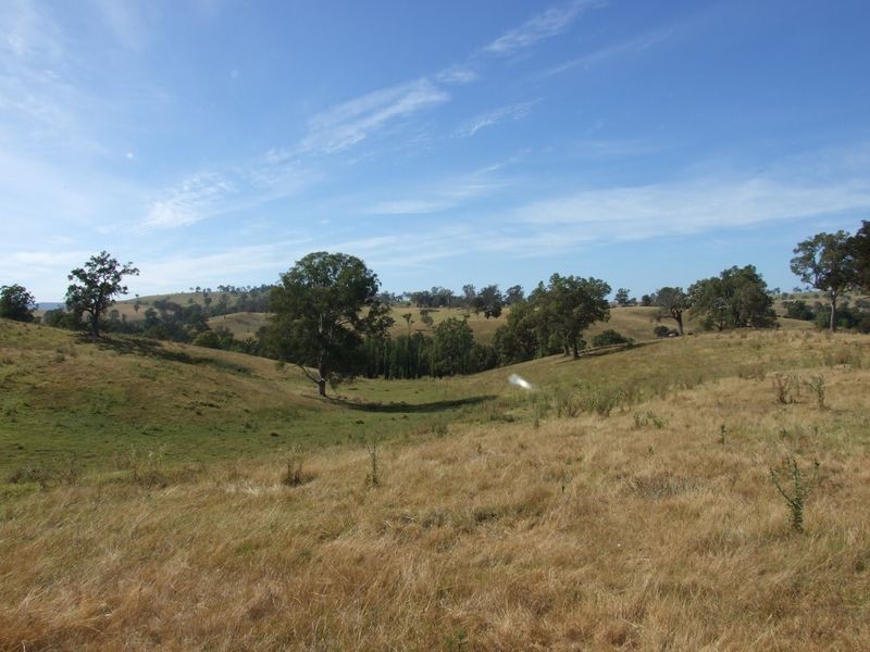 Lot 21 Upper Cobargo Road, Brogo NSW 2550