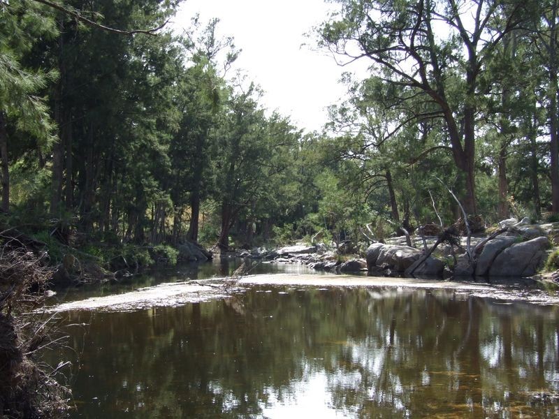 Lot 21 Upper Cobargo Road, Brogo NSW 2550