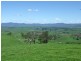 1550 Buckajo Road, Buckajo NSW 2550