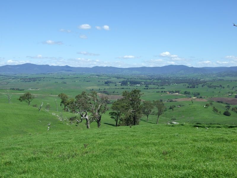 1550 Buckajo Road, Buckajo NSW 2550